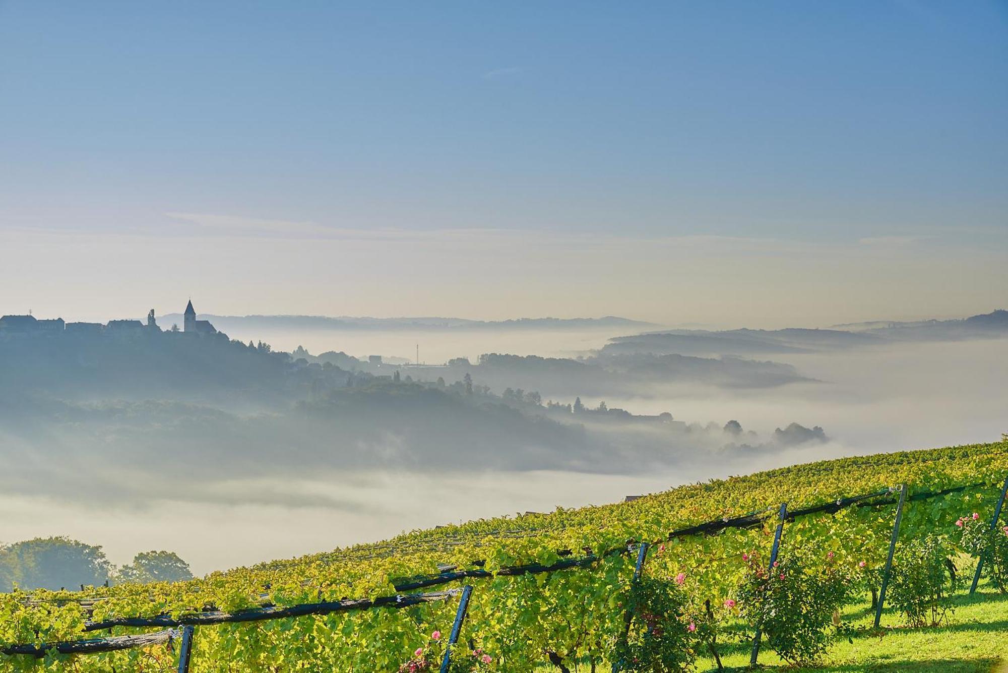 Winzerzimmer Scharl Sankt Anna am Aigen Dış mekan fotoğraf