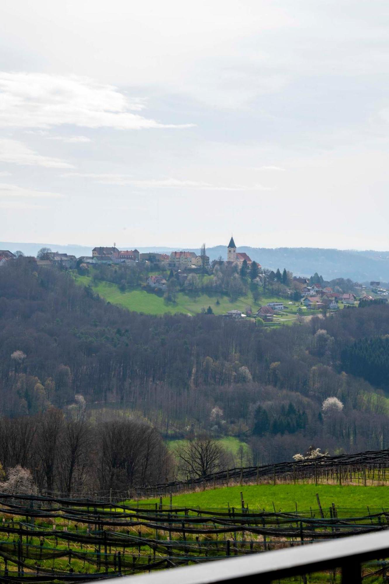 Winzerzimmer Scharl Sankt Anna am Aigen Dış mekan fotoğraf